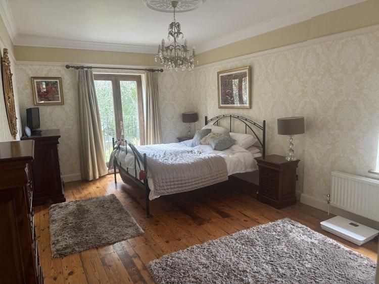 Dogsit 1 night 26 Sept in Beaconsfield BUCKS UK