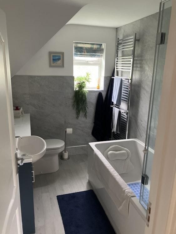 New Forest House sit - Image 7