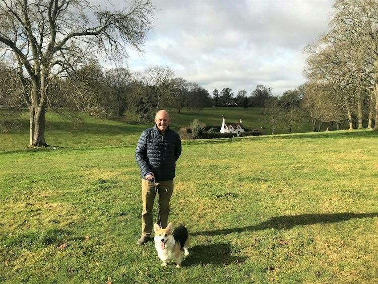 10-18 December Dogsit nr Great Missenden BUCKS UK - 1 Corgi - Image 7