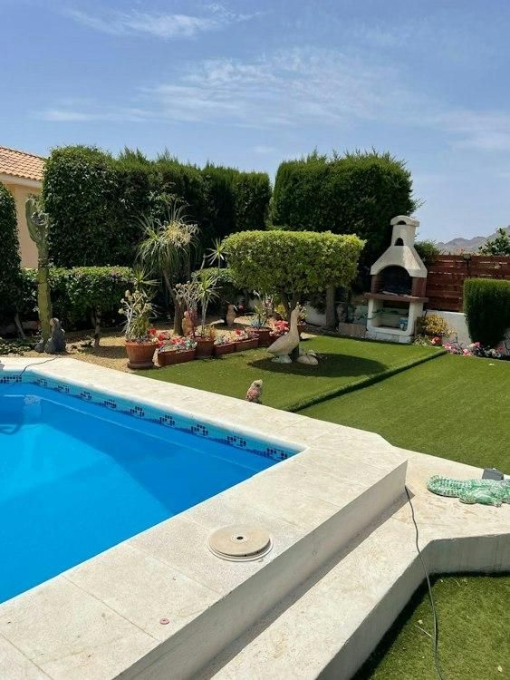 23 Dec-4 Jan San Juan de lost Terreros, Almeria SPAIN 1 Dog - Image 3