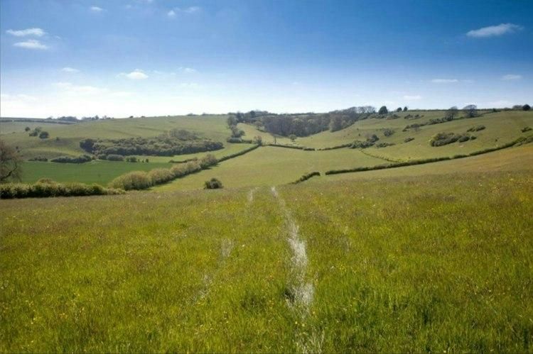 10-18 December Dogsit nr Great Missenden BUCKS UK - 1 Corgi - Image 6