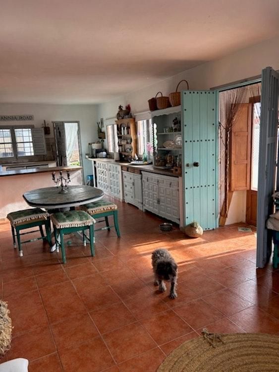 6 - 14 Oct Flex-Catsit (no dogs) nr Tabernas SPAIN - Image 7