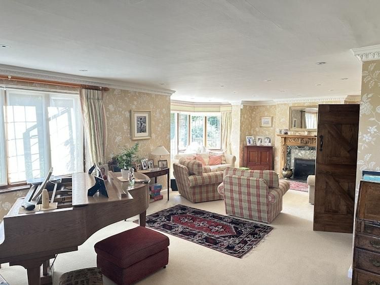 Coco would like to be looked after in her idyllic setting - Image 6
