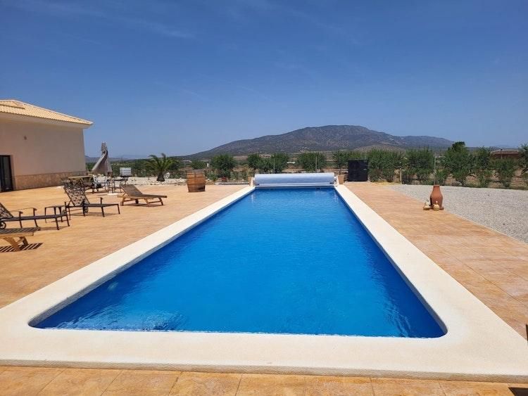 7 Nov - 7 Dec Catsit in Pinoso Alicante SPAIN - Image 2