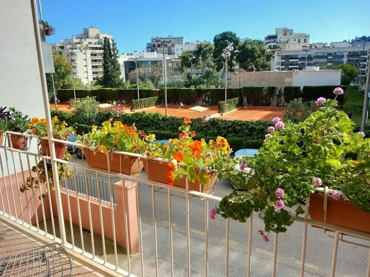Week mid october en Palma de Mallorca - Image 4