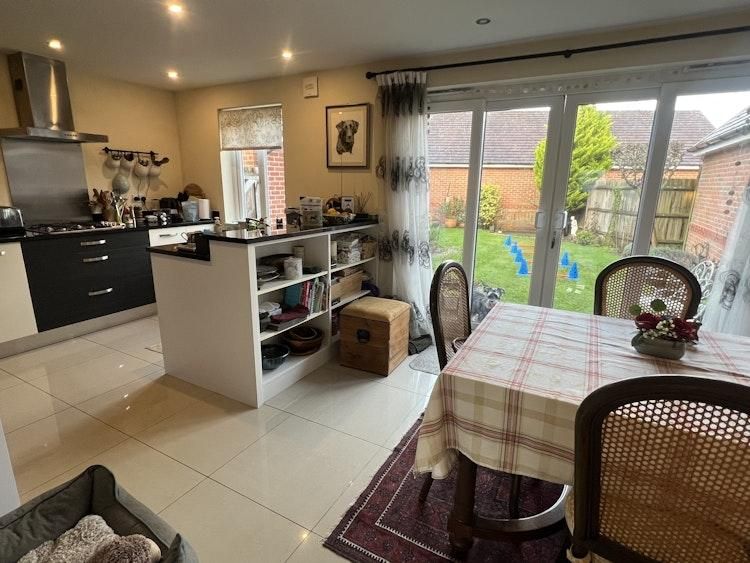 13 - 22 Sept Dogsit in Bracknell BERKS UK - 1 dog - Image 2
