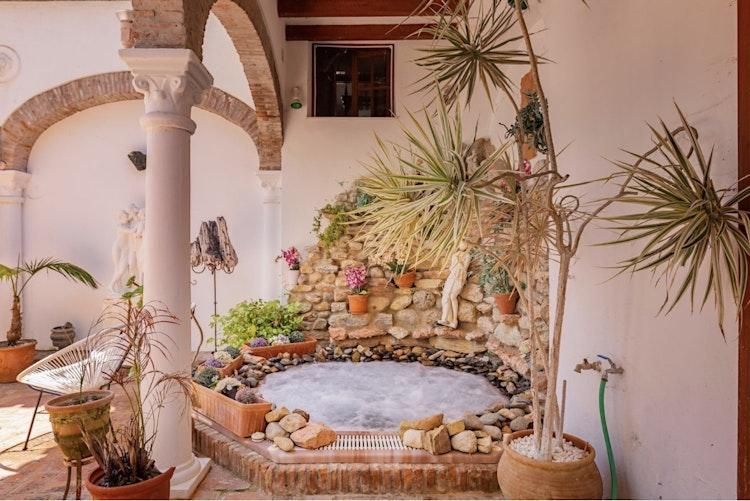 Long 6 Mth Petsit in Manilva SPAIN 2 Jan - 14 Jul - Image 7