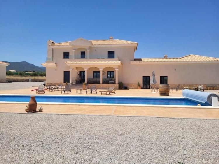 7 Nov - 7 Dec Catsit in Pinoso Alicante SPAIN