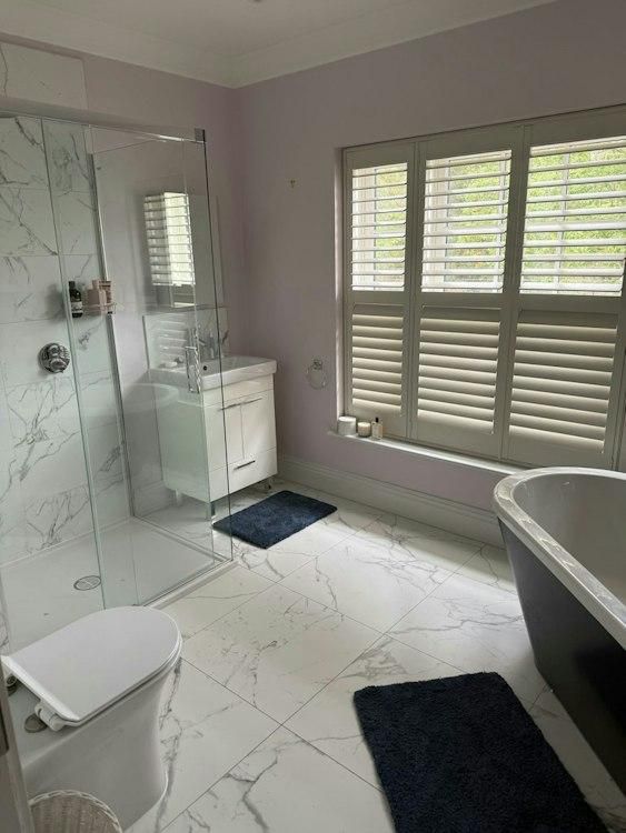 13-21 December pet sit in SW Surrey Uk 1 cat 1 dog - Image 4