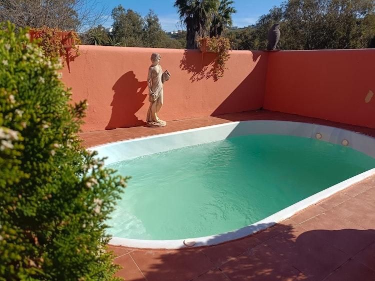 Long 6 Mth Petsit in Manilva SPAIN 2 Jan - 14 Jul - Image 2