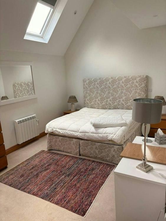 11 - 14 Dec Dogsit in Harleyford Nr Marlow BUCKS UK 4 Dogs - Image 2