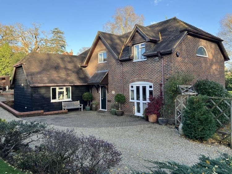 New Forest House sit