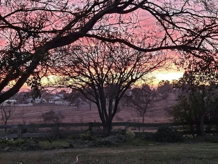 3 Jan - 28 Feb Catsit, Country Retreat Queensland AUSTRALIA