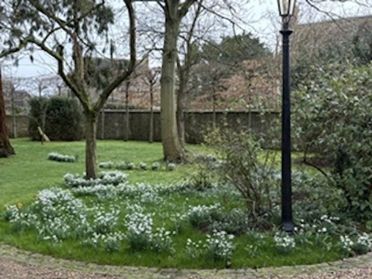 Charming oxfordshire village - Image 7