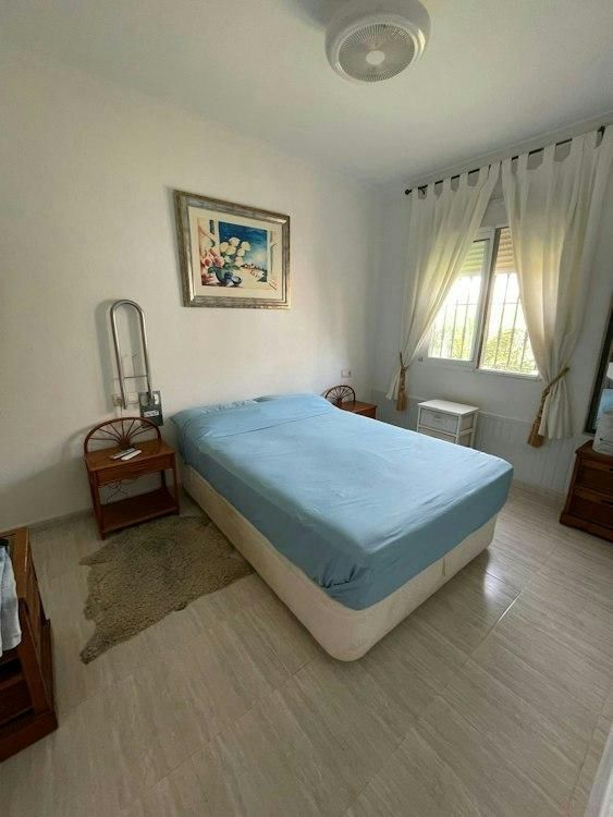 23 Dec-4 Jan San Juan de lost Terreros, Almeria SPAIN 1 Dog - Image 2