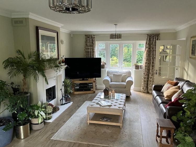 New Forest House sit - Image 3