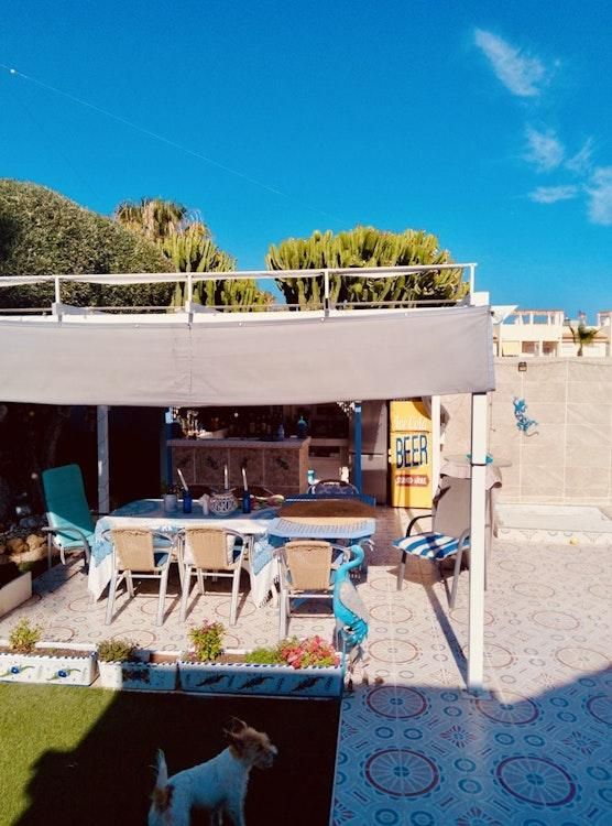 30 Nov - 30 Dec -Long Dogsit in Orihuela Costa SPAIN