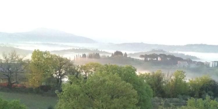 Italy in June - Image 4