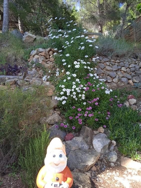 Catsit 30 Sep-11 Oct Villa with Views Callosa Alicante SPAIN - Image 3