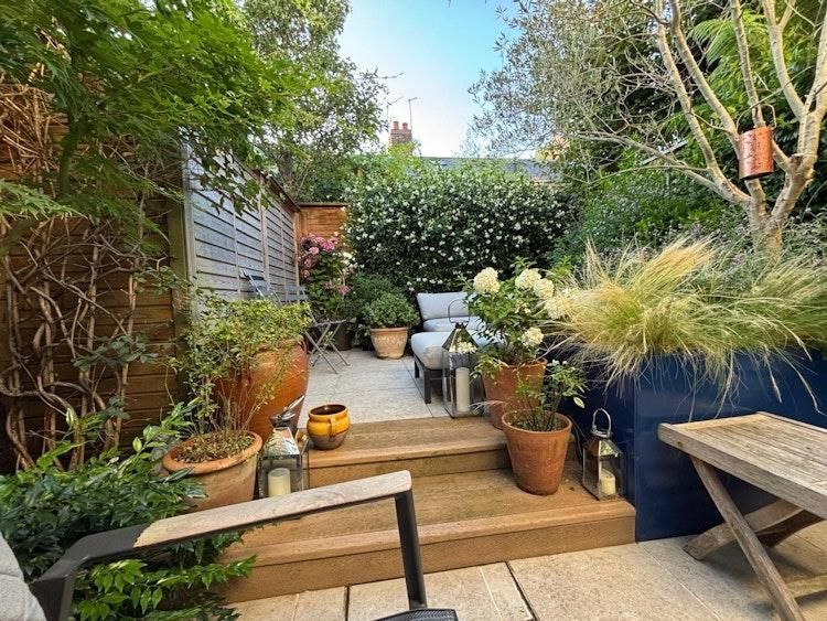 13-20 Sept Catsit in Richmond SW London UK - Image 6