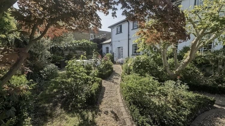 House & Dog Sit Twickenham - Image 6