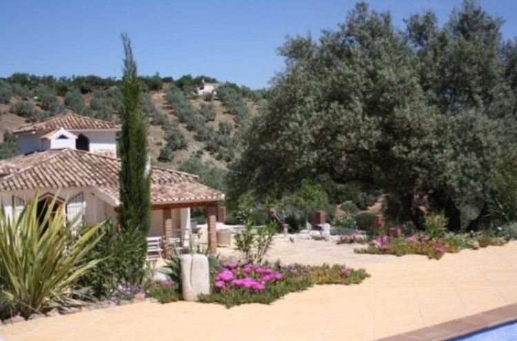 Christmas in Andalucia - Image 3