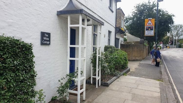 House & Dog Sit Twickenham