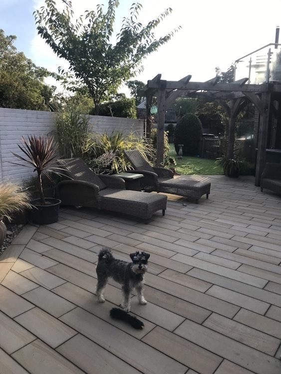 Dogsit 3 Feb - 3 Mar 2027 in Lymington HANTS UK - 1 dog - Image 4