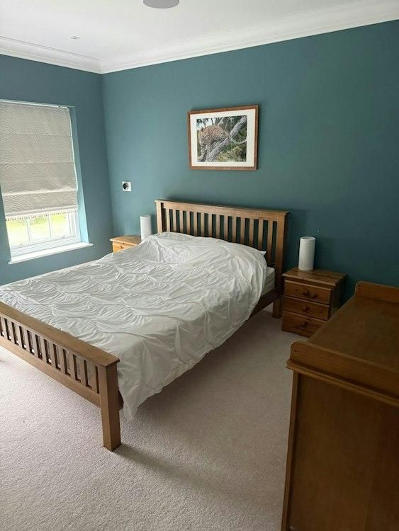 13-21 December pet sit in SW Surrey Uk 1 cat 1 dog - Image 5