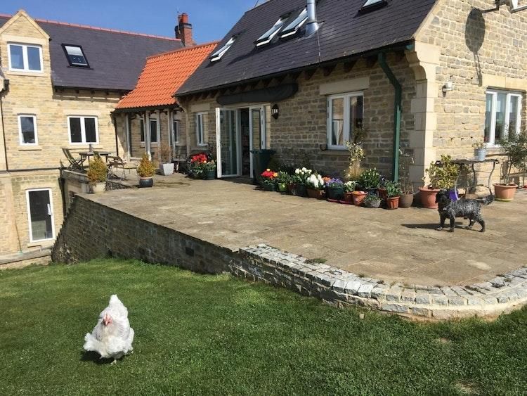 Large Country House - September sit - dogs coming with us