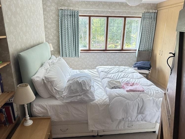 Coco would like to be looked after in her idyllic setting