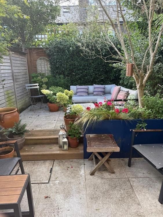 13-20 Sept Catsit in Richmond SW London UK - Image 4