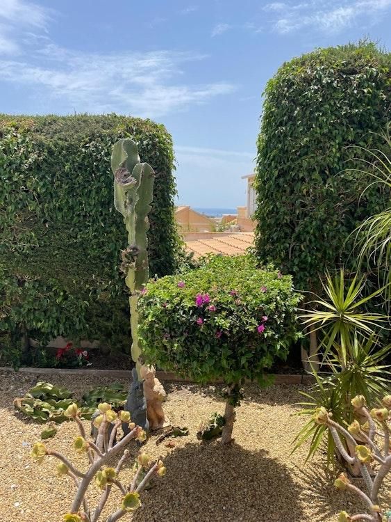 15-22 Sept Dogsit in San Juan de los Terreros,Almeria, SPAIN - Image 10