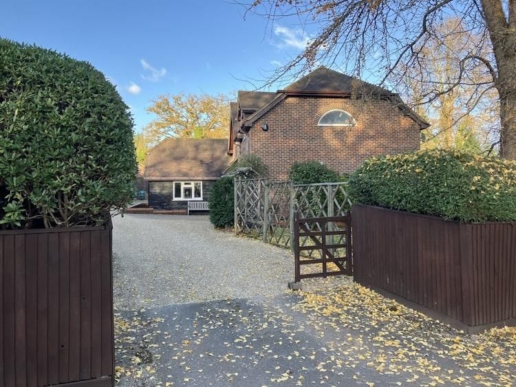 New Forest House sit - Image 5