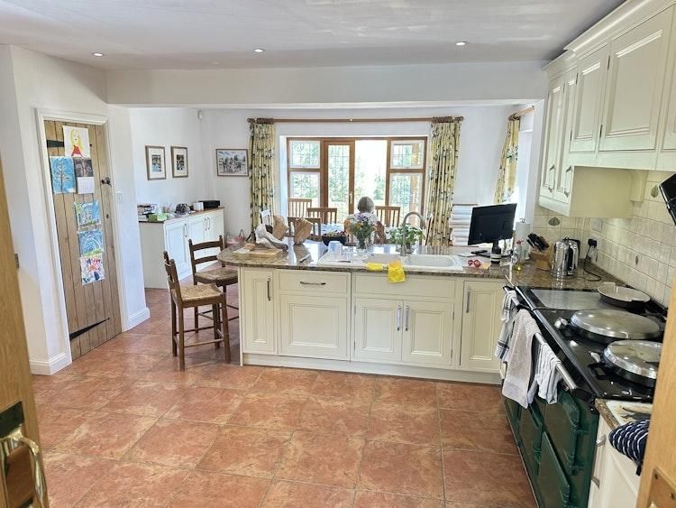 Coco would like to be looked after in her idyllic setting - Image 9