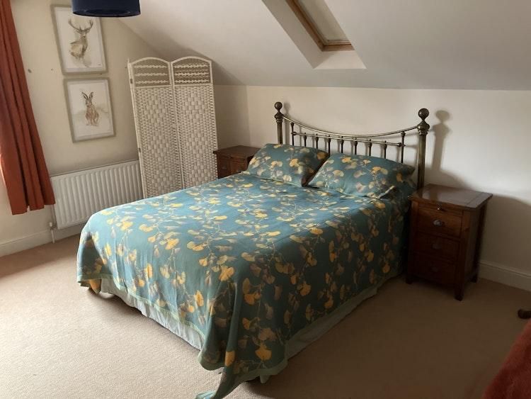 New Forest House sit - Image 6