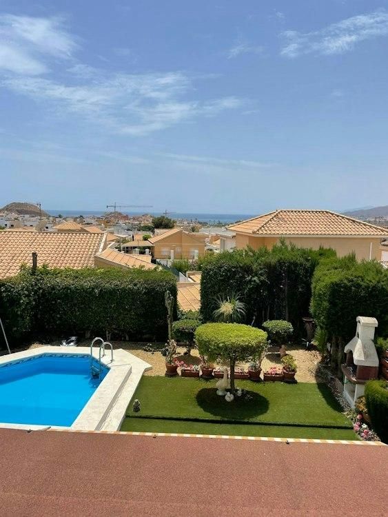 23 Dec-4 Jan San Juan de lost Terreros, Almeria SPAIN 1 Dog