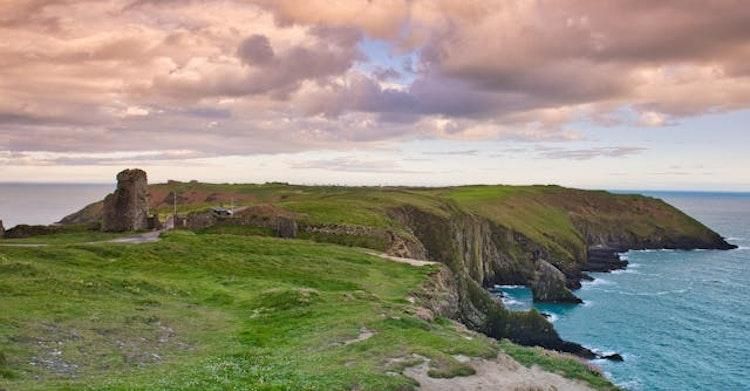 6 Mar - 3 Apr Catsit in Kinsale County Cork IRELAND - Image 4