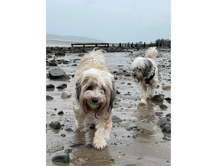 Llanfairfechan, Wales - Image 4
