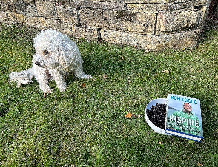 Huddersfield, Yorkshire and the Humber