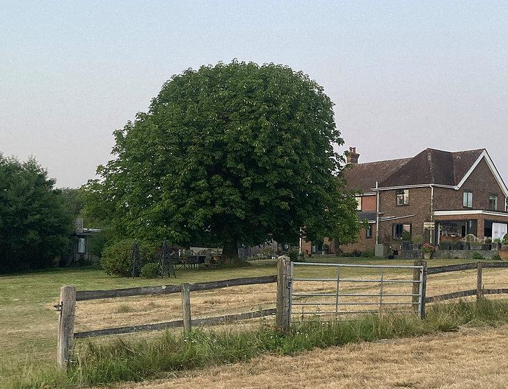South Lane, Dallington, South East England - Image 4