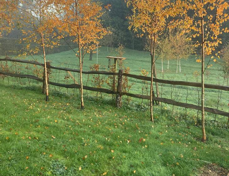 Tenterden, South East England