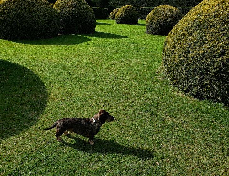 Minehead, Porlock, South West England - Image 3