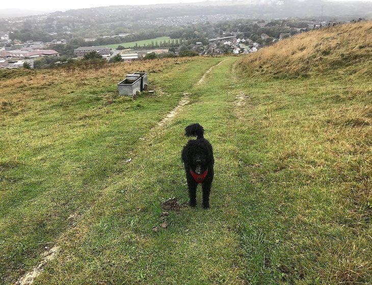 Lewes, South East England - Image 6