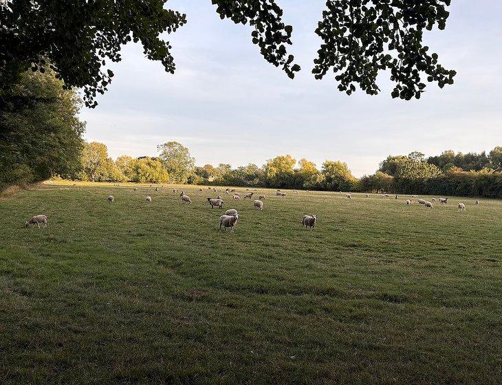 Witney, South East England - Image 7