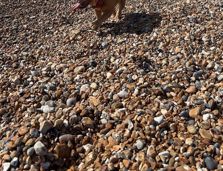 Brighton, South East England