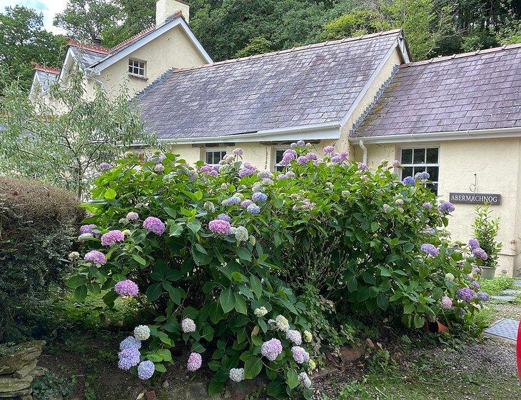 Llandysul, Wales - Image 3
