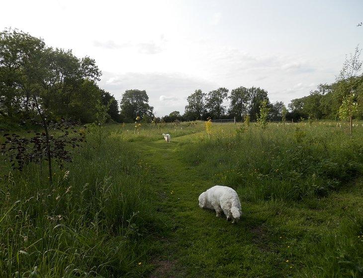 Grantham, East Midlands - Image 2