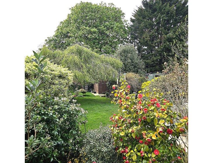 Angmering Village, West Sussex, South East England - Image 6