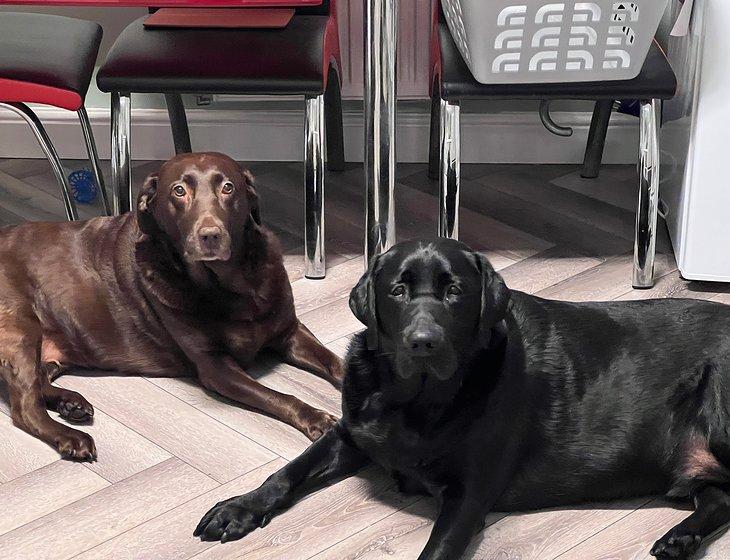 Crewe, North East England